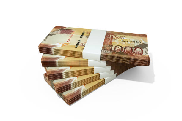 Business In-a-Box Opportunity